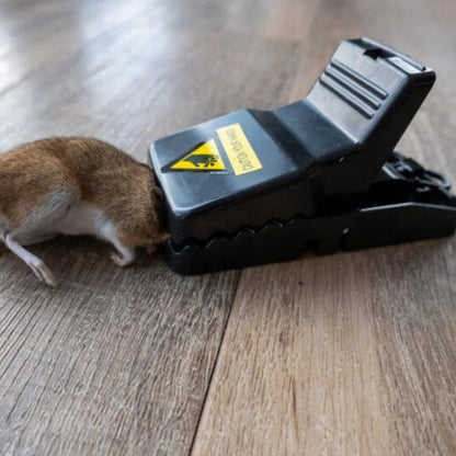 Mouse Trap2